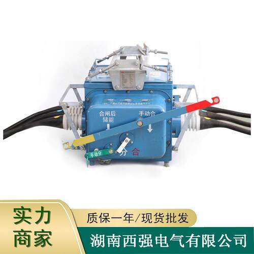 FZW28F-12/T630分界真空断路器10KV高压电动负荷杆上开关电子