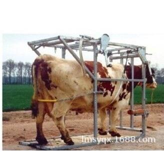 绑定架 牛保定器 动物保定架 猪羊定架 保定器 大动物保定架