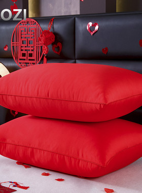 软糯红色抱枕芯结婚靠垫芯60*60方垫加大靠枕60*80一对婚庆床品
