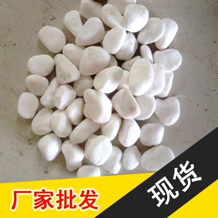 白色鹅卵石纯白雨花石园林景观水池垫底铺路地面打磨石量大从优