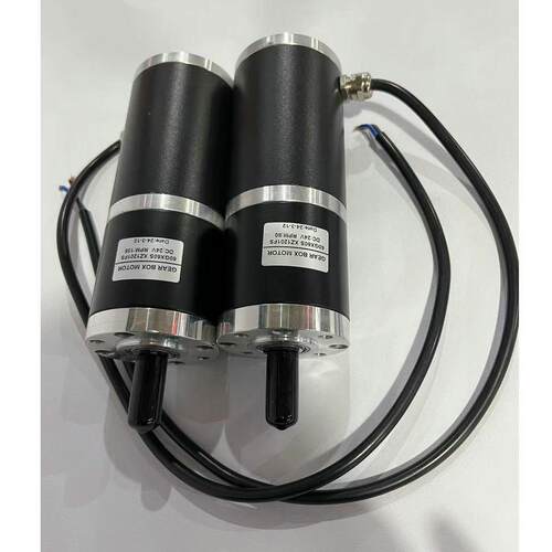 自动化机器人仪器设备微型直流行星减速电机60RX60-63-24V36V230R