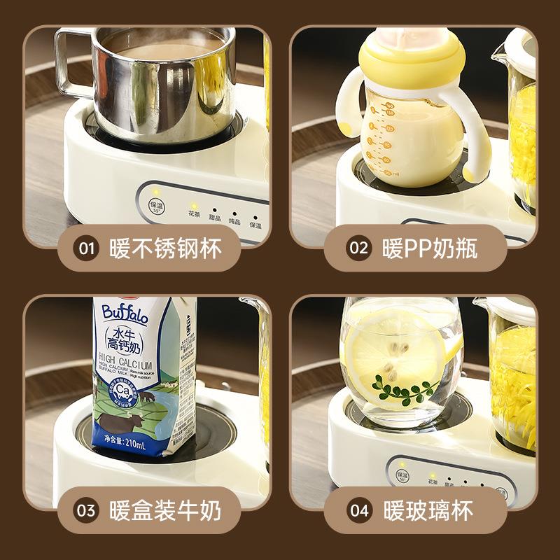 全玻璃养生壶杯办公室用小容量花茶甜品煮茶水果茶双炉牛奶养生杯