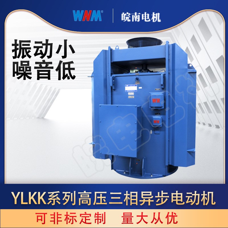 高压高效IE3节能电机皖南电机YLKK系列高压电动机三相异步3kw55kw