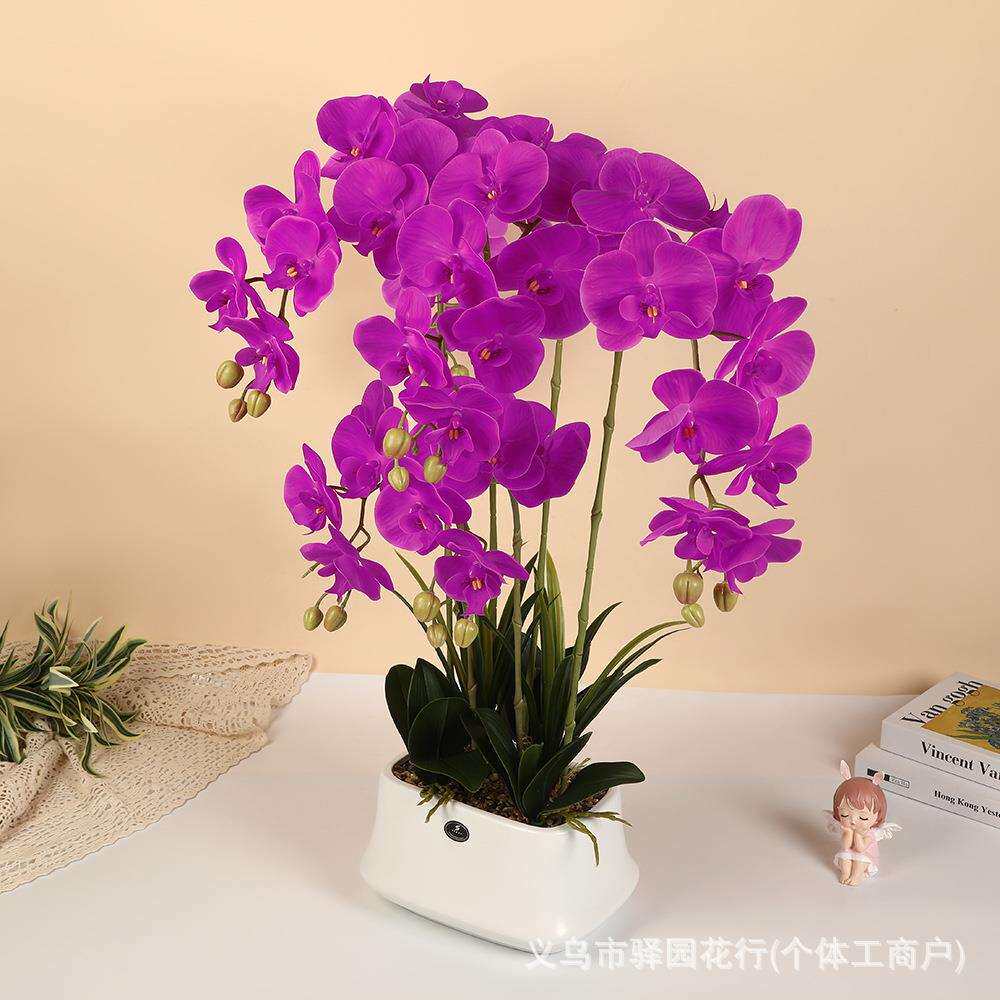 北欧轻奢蝴蝶兰陶瓷盆栽胶印手感仿真花盆景客厅餐桌摆设人造花盆