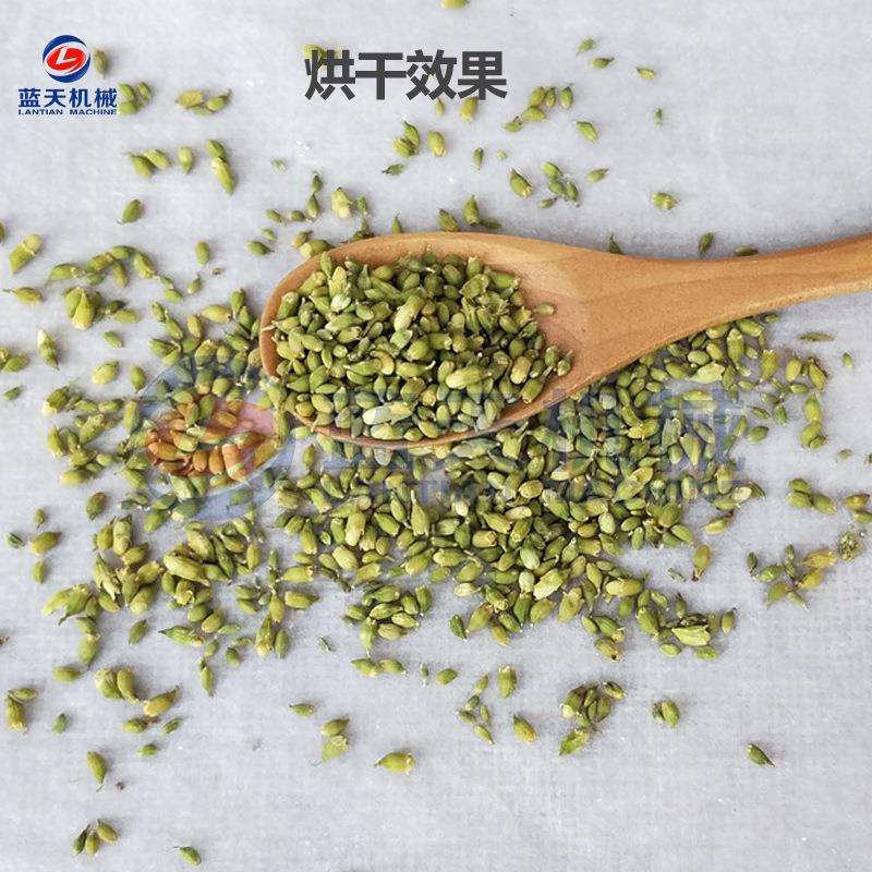 空气能槐米烘干机 箱式热泵槐米茶烘干机 大型怀米花白槐干燥设备