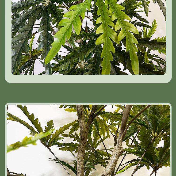 北欧仿真绿植孔雀木盆栽家居装饰落地假植物造景摆件树高绿植摆件