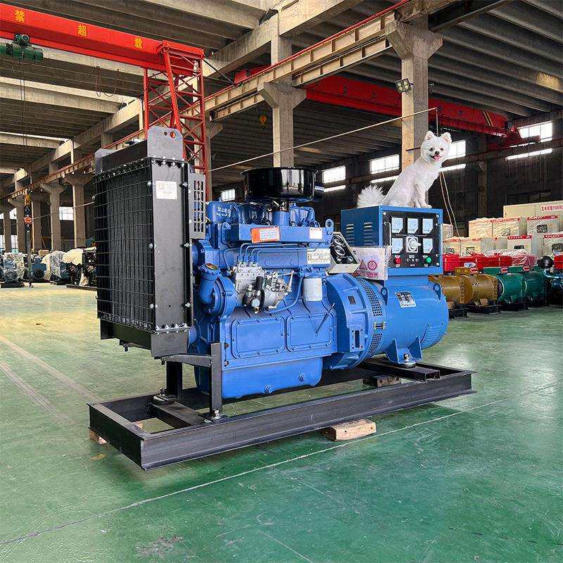 柴油发电机组潍柴玉柴康明斯30kw380v养殖场备用源头工厂发动机