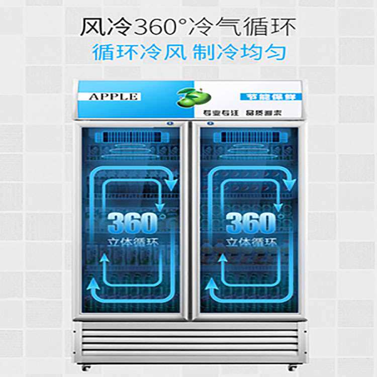 冷藏柜保鲜柜展示柜立式饮料柜商用单门家用冰柜商用冷柜水柜
