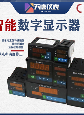 WP-S403-01-12-H /WP-S403-00-08-HL单屏智能数显仪表