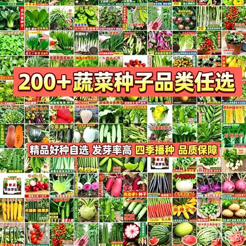 四季播种蔬菜种子大全香菜种子葱种子白菜萝卜种子两元好物88VIP