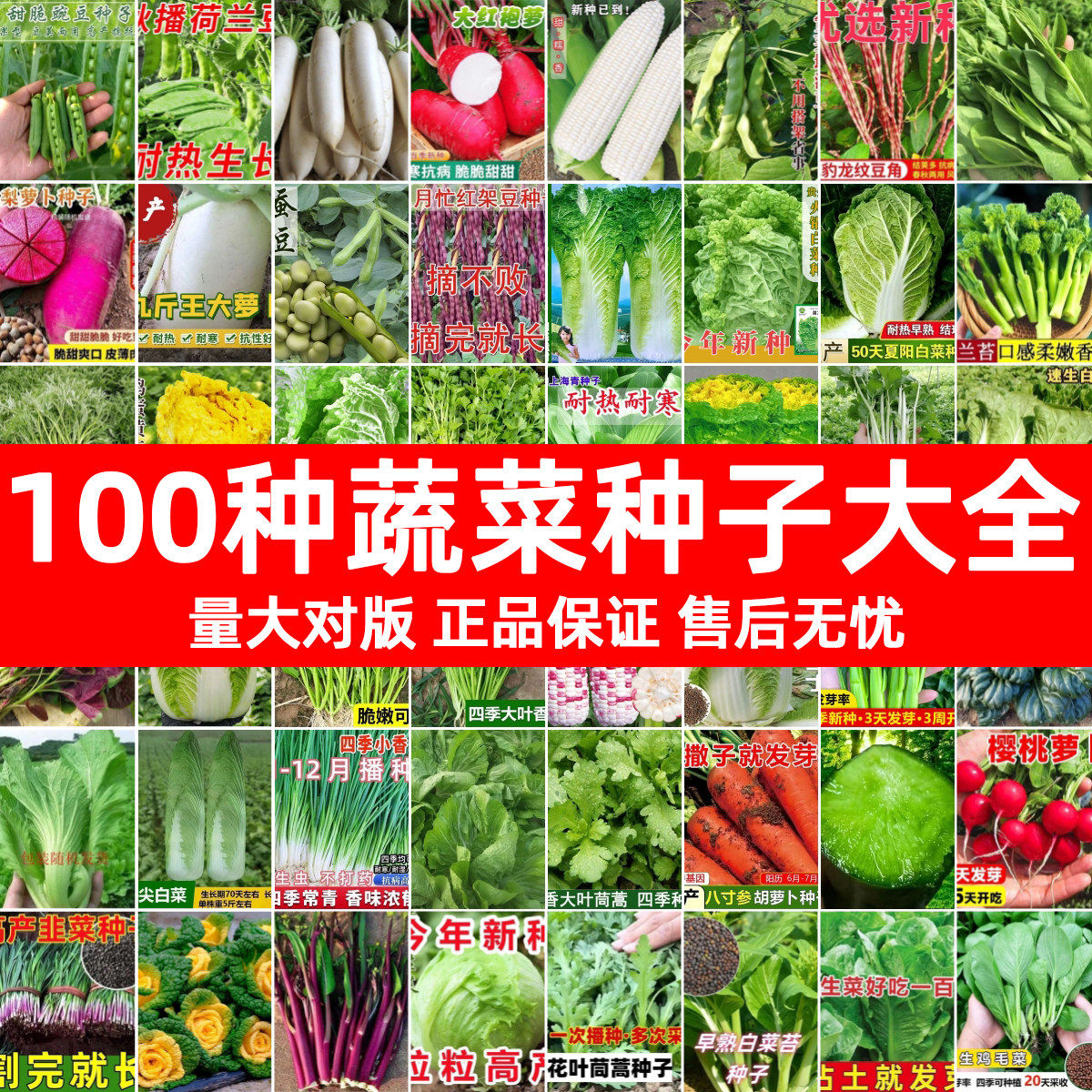四季蔬菜种子大全多品种可选