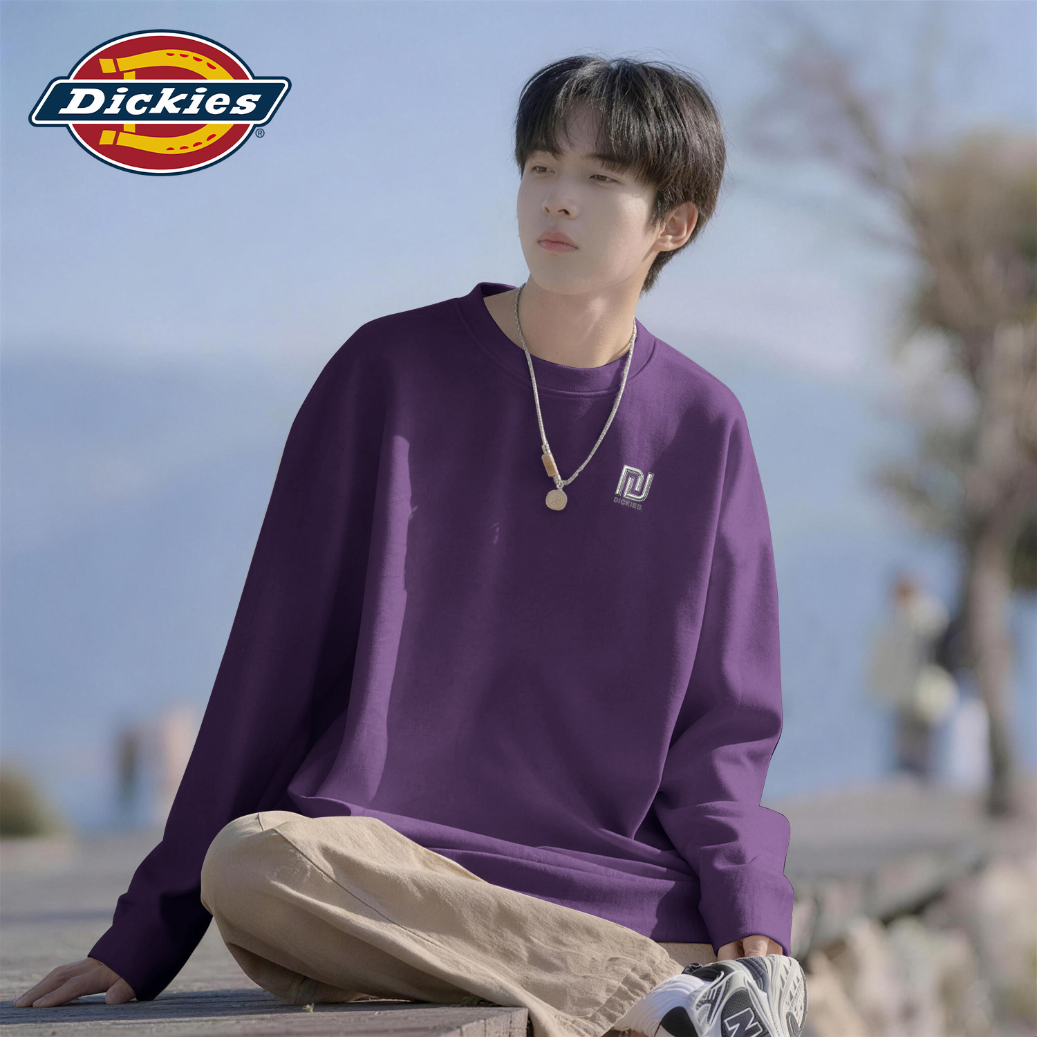 Dickies男生长袖T恤2026秋季新款