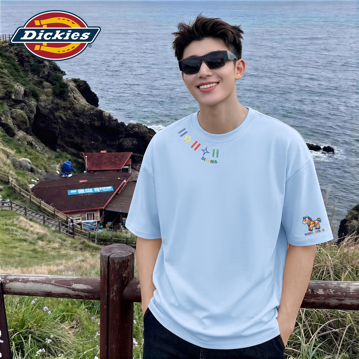 Dickies男士纯棉短袖T恤2026