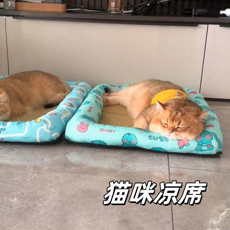 宠物冰垫猫用夏日降温猫咪凉席窝防暑睡垫防撕咬不沾毛睡觉垫子