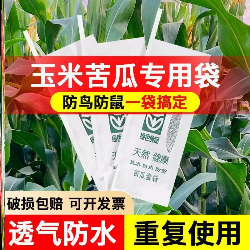 玉米防鸟罩套袋专用防鼠防虫神器农用保护套蔬菜苦瓜丝瓜通用型纸