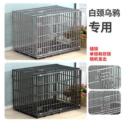白颈乌鸦笼子专用特粗加粗鸟类不锈铁丝带天窗泰迪狗笼子猫兔宠物
