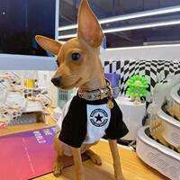 迷你小鹿犬专用衣服小狗狗鹿娃犬吉娃娃秋天秋季款薄款小体犬秋装