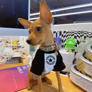 迷你小鹿犬专用衣服小狗狗鹿娃犬吉娃娃秋天秋季款薄款小体犬秋装