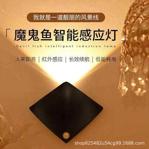 门口感应灯入户门牌氛围走廊自动射灯玄关充电照明灯智能感应壁灯