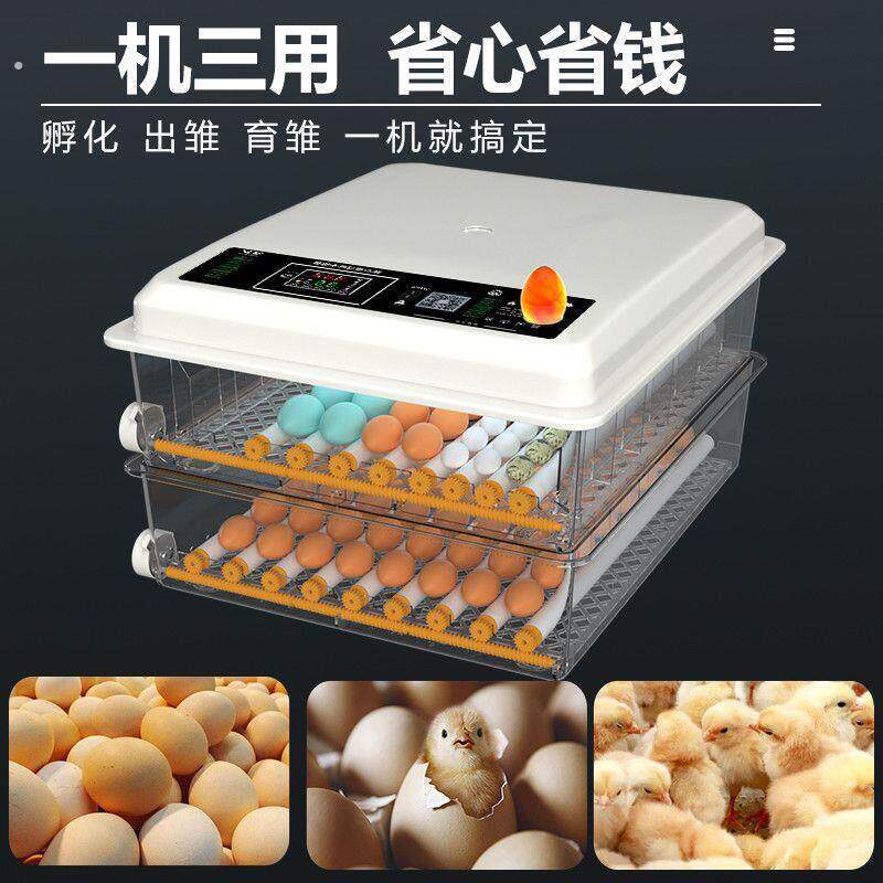 全自动智能孵化机孵鹅鸽子芦丁的孵蛋器孵鸡鸭山鸡的孵化箱