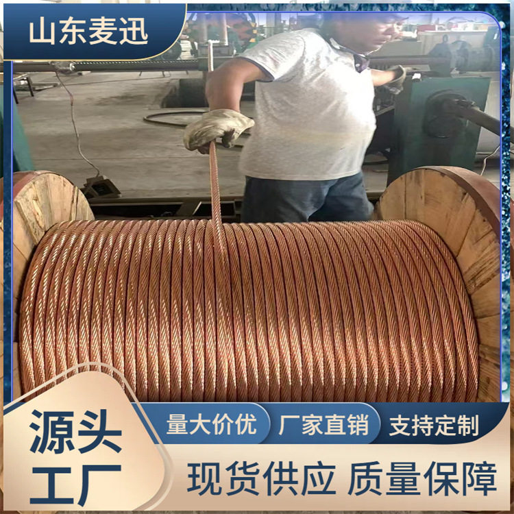 TJ/TDJ镀锡铜绞线接地母线多股