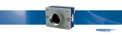 Teledyne DALSA    工业相机   G5-GM30-C4060