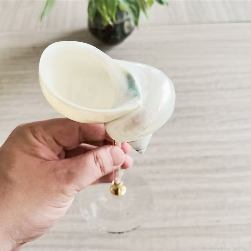 天然海螺红酒杯贝壳高脚杯创意海螺贝壳抛光打磨制成源工厂