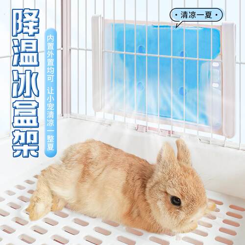 兔子降温神器冰盒架子悬挂式宠物降温冰屋龙猫荷兰猪豚鼠消暑散热