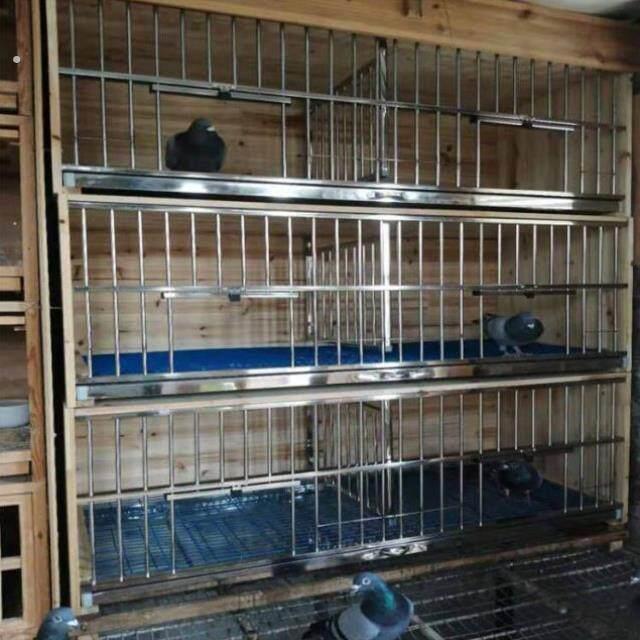 用具繁殖用品笼实木不绣钢巢箱繁殖鸽子笼木制信鸽窝赛鸽配对笼子