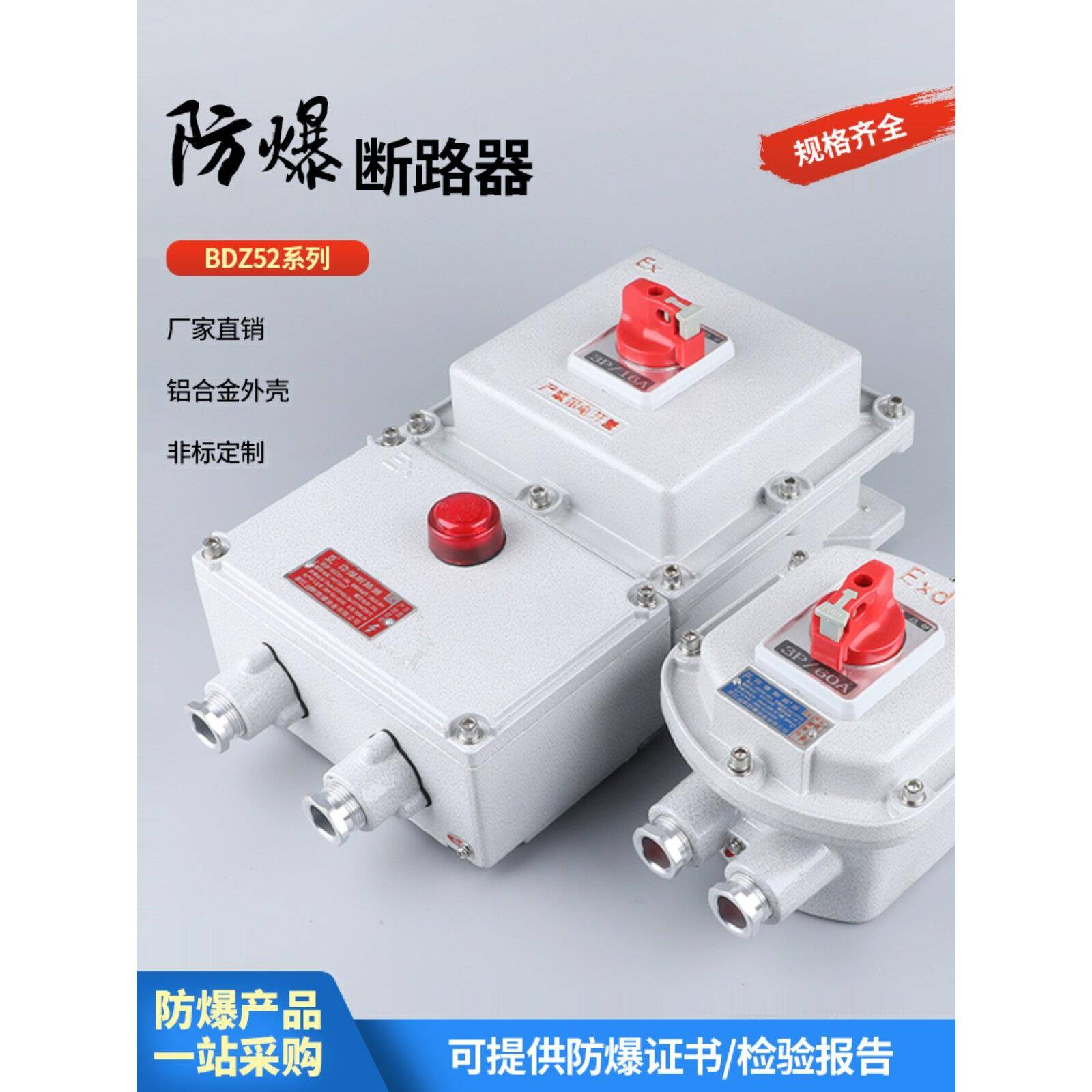 防爆断路器BDZ52空开漏电2P3P16A32a63A三相一体式防爆控制箱220V