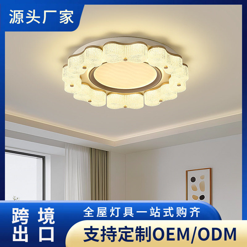新款现代简约LED吸顶灯