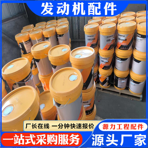 山推推土机专用油发动机配件