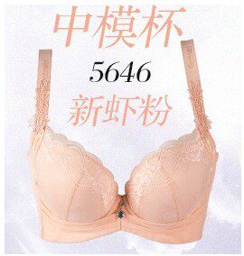 奥丝蓝黛中厚a杯调整型文胸内衣