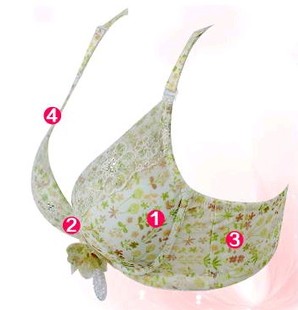 奥斯兰黛正品 胸A罩奥丝蓝黛5548文胸内衣品牌文胸聚拢小胸厚款