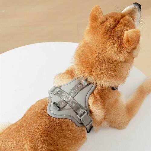 狗狗牵引绳胸背宠物用品调节背心外出中小型犬背带牵引猫咪牵引绳