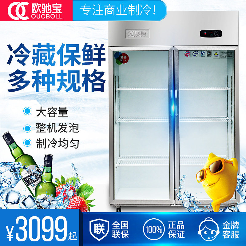 欧驰宝大二门陈列柜立式玻璃双门厨房冰箱冷柜保鲜柜商用展示柜