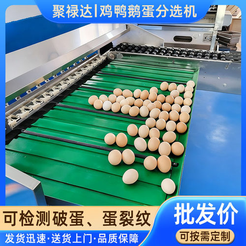 鸡蛋重量分级机 蛋品自动称重分选机 皮蛋鸡鸭鹅蛋全自动分选设备