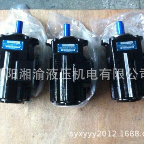 T67EB-062-02-1R00-C1M1丹尼逊双联泵T6C-010-1R0串泵