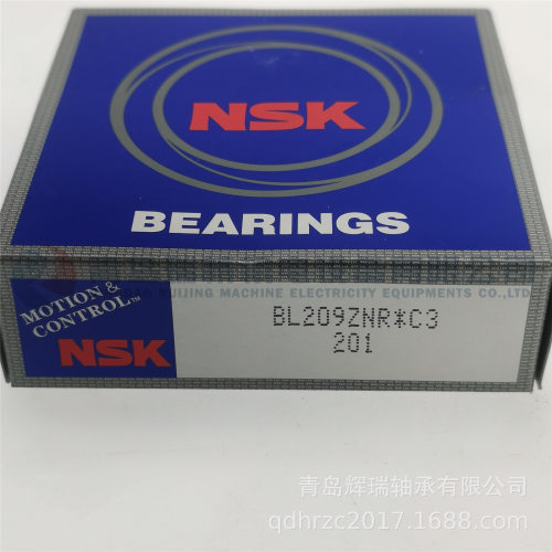 N-S-K 深沟球轴承 BL209ZNR*C3 单侧密封带卡簧 BL209NC3