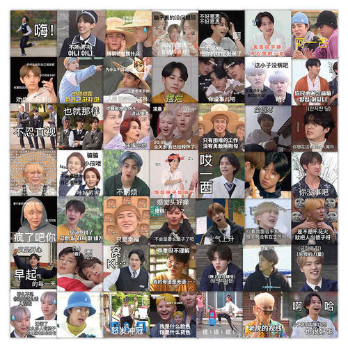 300张Seventeen贴纸崔胜哲尹净汉徐明浩韩国男团成员周边防水贴画