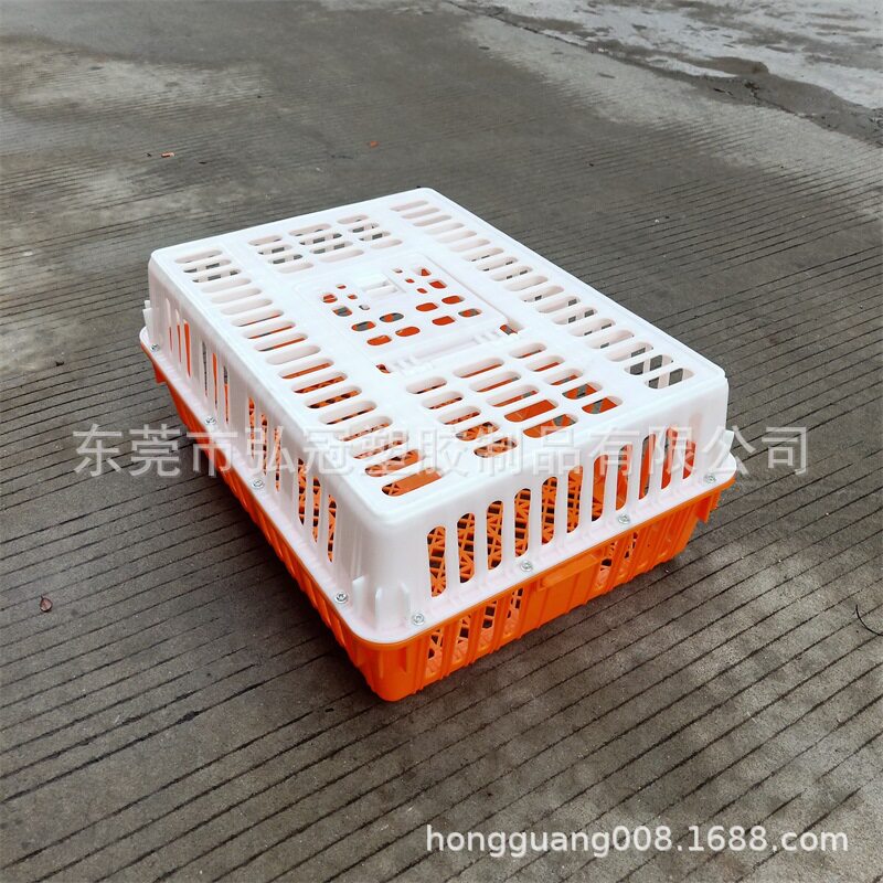 湛江橙色白色黄色塑料运输鸡笼加高加厚周转鸭笼家禽成鸡塑料筐