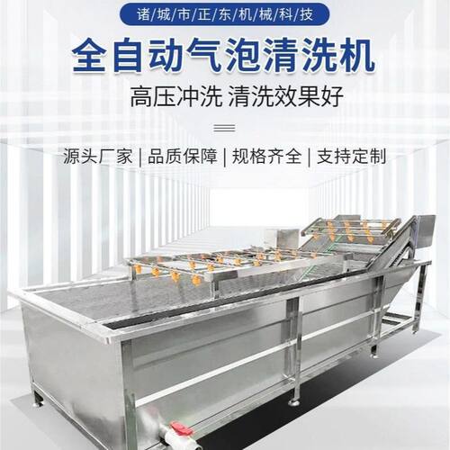 多功能全自动果蔬蔬菜清洗机 气泡式喷淋豆角清洗机 洗菜机设备