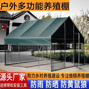 大型养殖鸡棚室外养殖孔雀钢管拼装农村鸡窝铁网笼舍钢架鸭鹅窝棚