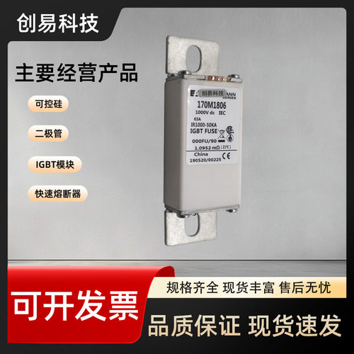 170M1842 170M1843 170M1844 170M1845 170M1846 170M1847熔断器