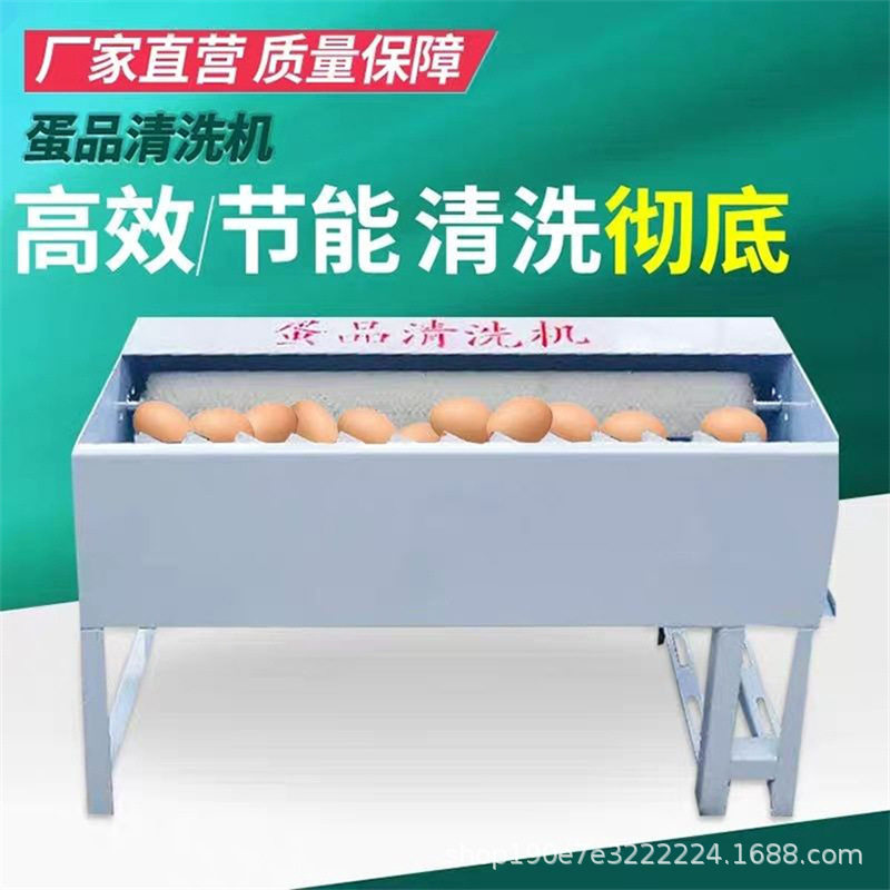 新型蛋品清洗机器洗蛋器全自动洗蛋机小型商用毛刷鸡蛋鸭蛋清洗机