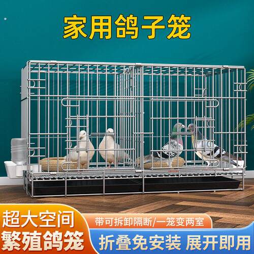 鸽子笼家用养鸽子专用笼繁殖笼养殖笼配对大号鸽舍鸽子笼子鸽子窝