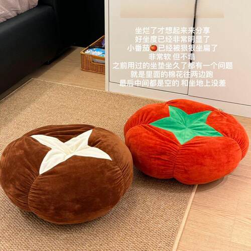地上懒人坐垫客厅地毯地上看书地垫坐垫阳台蒲团靠背椅垫两用坐墩