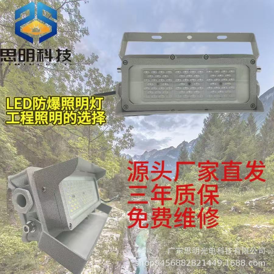 户外篮球场led支架灯防爆灯隧道照明灯60w矿用足球场防水防爆灯