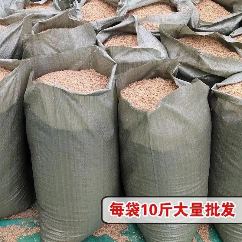 厂家直销东北新磨水稻稻壳农家稻谷壳新鲜稻壳谷壳酿酒垫料枕头枕