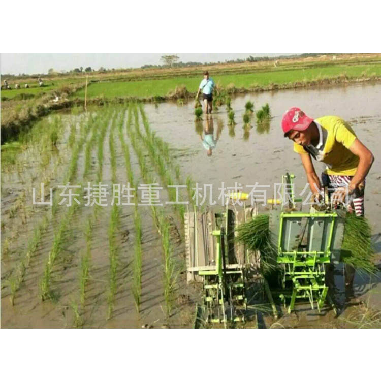 小型手动水稻插秧机双行步退式